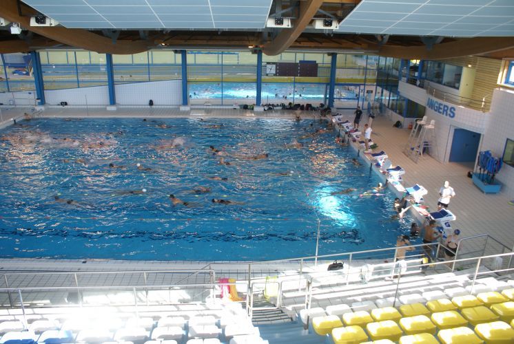 Natation 1